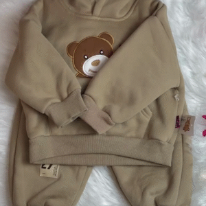 Autumn Winter Plushs Warm Clothes for Kids Boys Girls Cartoon BEARs Pattern Hoodies and Pants Set Children’s Pullover trасksuit